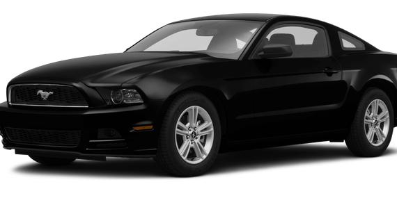 FORD MUSTANG 2014 1ZVBP8AM8E5331419 image