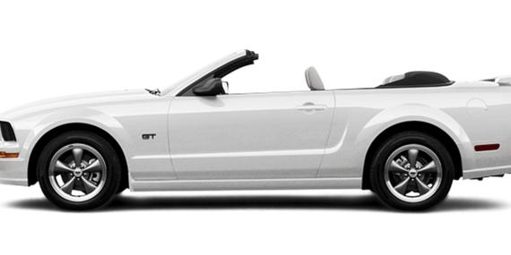 FORD MUSTANG 2005 1ZVFT85H655219244 image FORD MUSTANG 2005 1ZVFT85H655219244 image