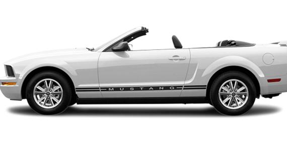 FORD MUSTANG 2005 1ZVFT84N255242530 image