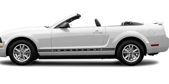 FORD MUSTANG 2005 1ZVFT84N955253038 image