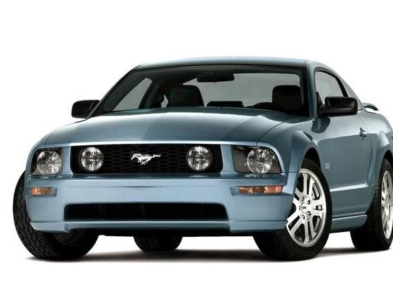 FORD MUSTANG 2005 1ZVFT80N355205282 image