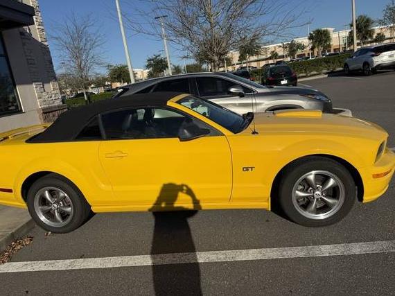 FORD MUSTANG 2005 1ZVHT85H655219219 image