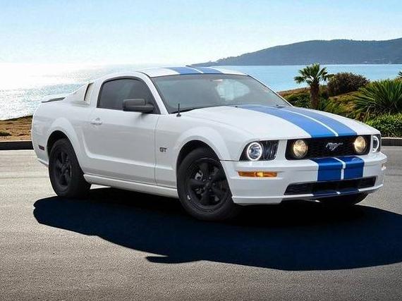 FORD MUSTANG 2005 1ZVHT82H355141504 image