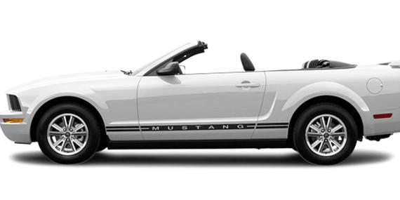 FORD MUSTANG 2005 1ZVFT84N655216741 image
