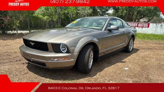 FORD MUSTANG 2005 1ZVFT80N655231276 image