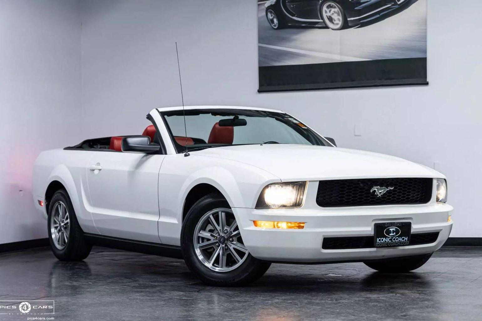 FORD MUSTANG 2005 1ZVHT84N655183359 image