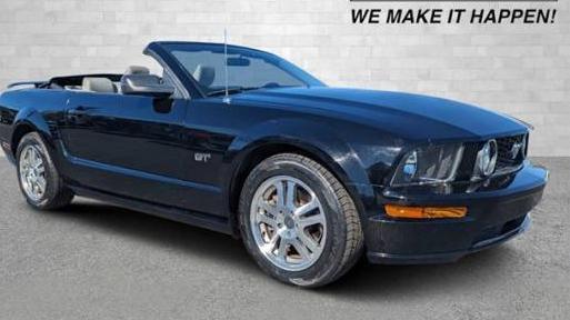 FORD MUSTANG 2005 1ZVFT85H655230213 image