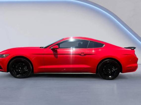 FORD MUSTANG 2015 1FA6P8TH2F5413030 image