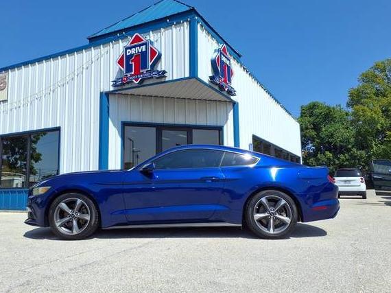 FORD MUSTANG 2015 1FA6P8AM5F5318557 image FORD MUSTANG 2015 1FA6P8AM5F5318557 image