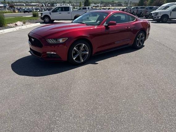 FORD MUSTANG 2015 1FA6P8AM2F5408507 image