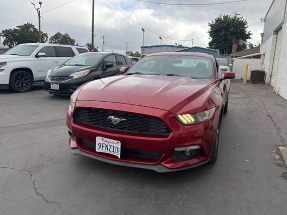 FORD MUSTANG 2015 1FA6P8AM1F5353189 image FORD MUSTANG 2015 1FA6P8AM1F5353189 image