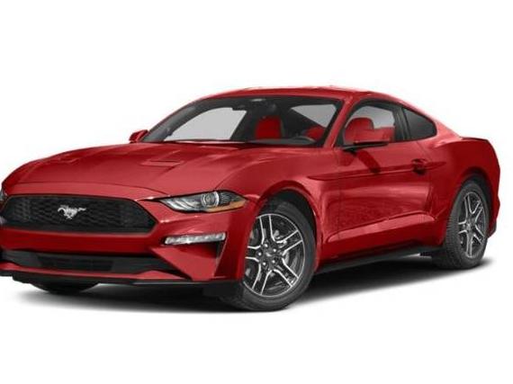 FORD MUSTANG 2022 1FA6P8TH5N5133875 image