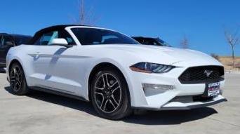 FORD MUSTANG 2022 1FATP8UH2N5119708 image