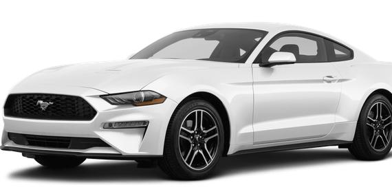 FORD MUSTANG 2022 1FA6P8TH5N5106028 image