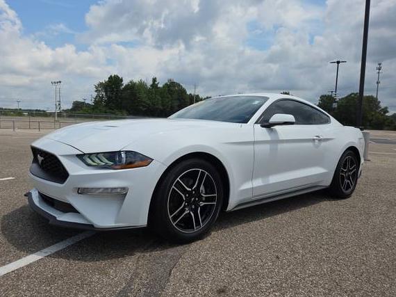 FORD MUSTANG 2022 1FA6P8TH8N5148239 image