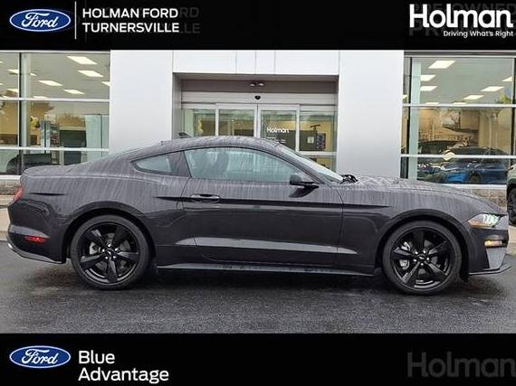 FORD MUSTANG 2022 1FA6P8TH7N5143534 image