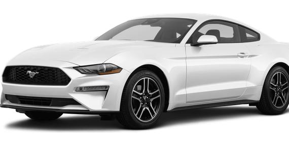 FORD MUSTANG 2022 1FA6P8TH7N5106614 image