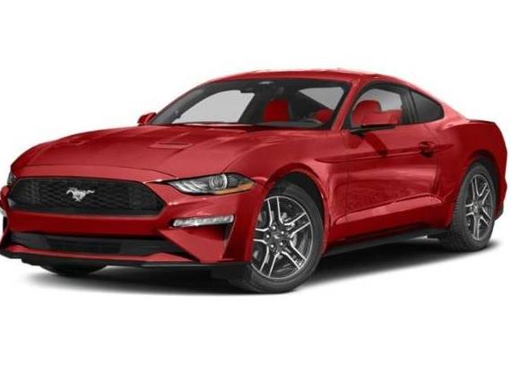 FORD MUSTANG 2022 1FA6P8TH4N5133110 image