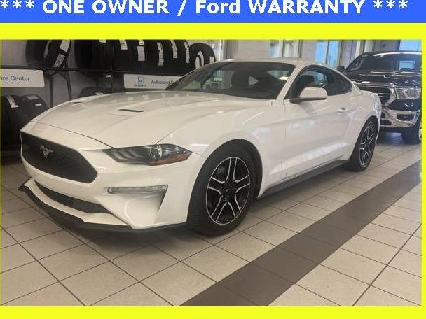 FORD MUSTANG 2022 1FA6P8TH7N5101137 image