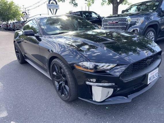 FORD MUSTANG 2022 1FA6P8TH3N5147306 image