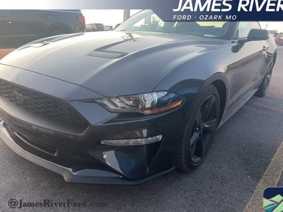 FORD MUSTANG 2022 1FA6P8TH5N5145881 image