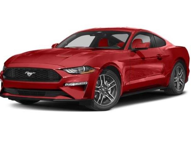 FORD MUSTANG 2022 1FA6P8TH4N5111981 image