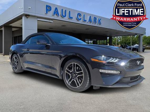 FORD MUSTANG 2022 1FATP8UH3N5134167 image