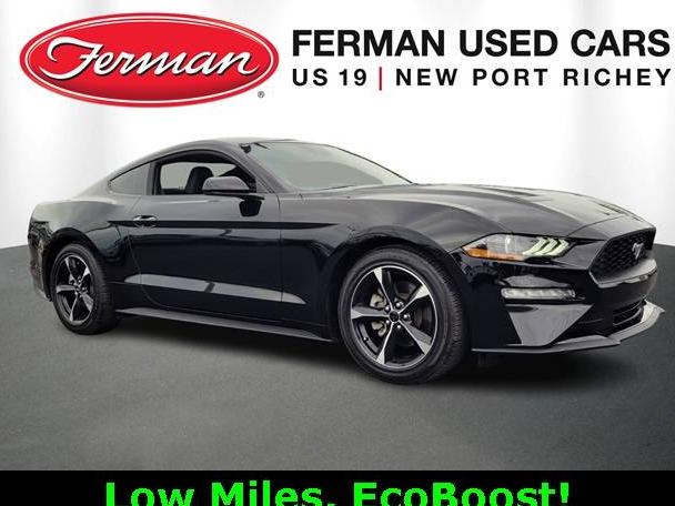 FORD MUSTANG 2022 1FA6P8THXN5147951 image