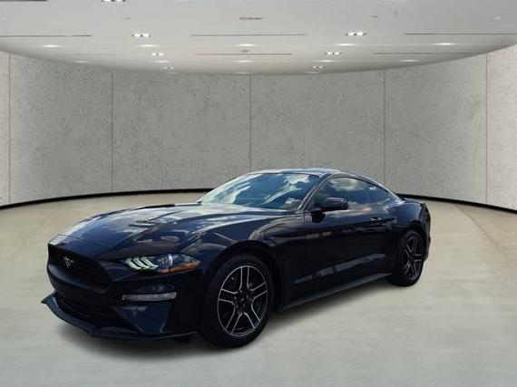 FORD MUSTANG 2022 1FA6P8TH2N5144624 image