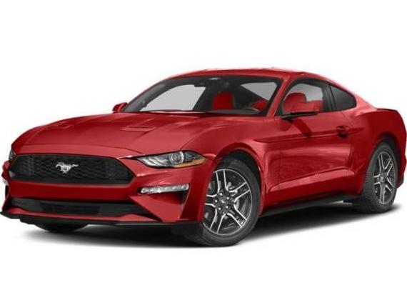 FORD MUSTANG 2022 1FA6P8TD9N5109785 image