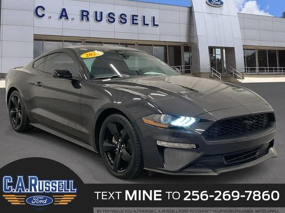 FORD MUSTANG 2022 1FA6P8TH0N5147067 image FORD MUSTANG 2022 1FA6P8TH0N5147067 image