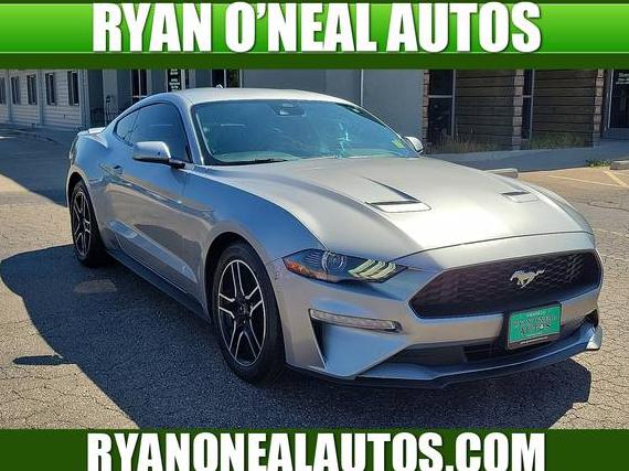 FORD MUSTANG 2022 1FA6P8TH9N5101947 image FORD MUSTANG 2022 1FA6P8TH9N5101947 image