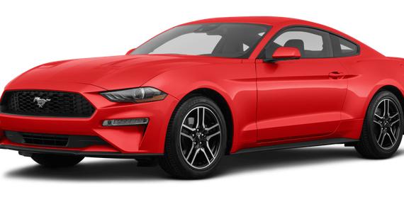 FORD MUSTANG 2022 1FA6P8TH8N5100370 image