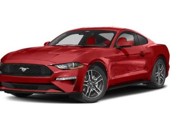 FORD MUSTANG 2022 1FA6P8TH0N5135226 image FORD MUSTANG 2022 1FA6P8TH0N5135226 image