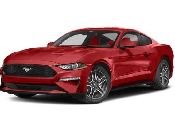 FORD MUSTANG 2022 1FA6P8THXN5127103 image