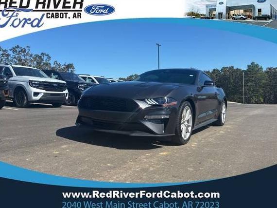 FORD MUSTANG 2022 1FA6P8TH1N5150107 image FORD MUSTANG 2022 1FA6P8TH1N5150107 image