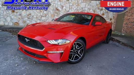 FORD MUSTANG 2022 1FA6P8TH3N5101135 image
