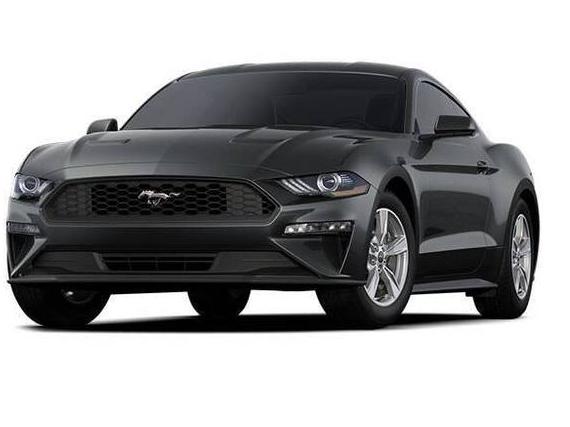 FORD MUSTANG 2022 1FA6P8TH3N5140839 image