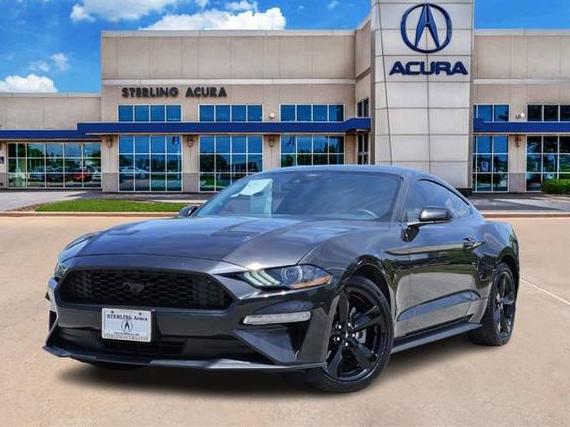 FORD MUSTANG 2022 1FA6P8TH1N5149409 image