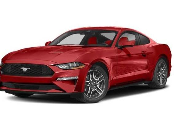 FORD MUSTANG 2022 1FA6P8TH6N5132654 image