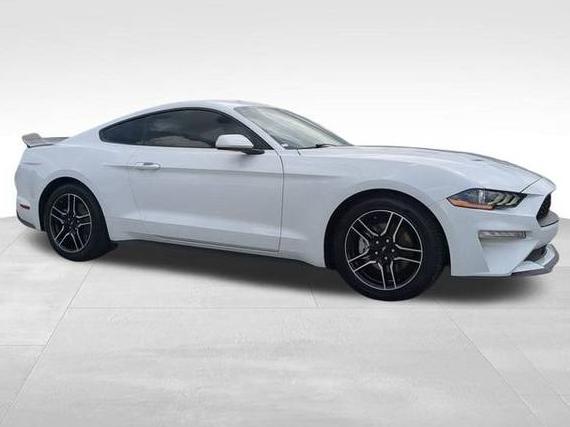 FORD MUSTANG 2022 1FA6P8TH3N5110482 image
