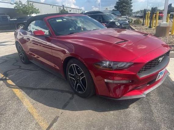 FORD MUSTANG 2022 1FATP8UH5N5106239 image