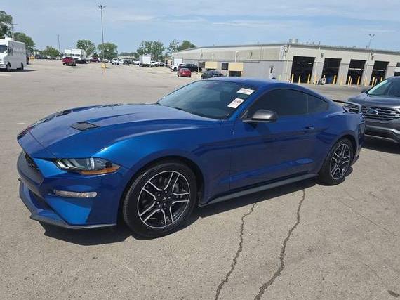 FORD MUSTANG 2022 1FA6P8TH2N5134420 image