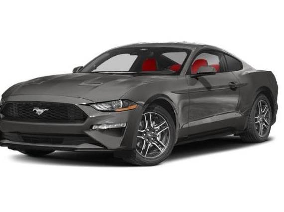FORD MUSTANG 2022 1FA6P8TD4N5112593 image
