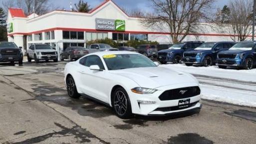 FORD MUSTANG 2022 1FA6P8TH8N5100577 image