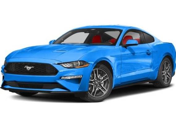 FORD MUSTANG 2022 1FA6P8TH8N5143073 image