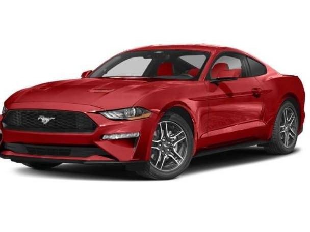 FORD MUSTANG 2022 1FA6P8TH7N5113384 image