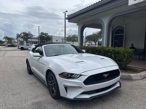 FORD MUSTANG 2022 1FATP8UH0N5119593 image