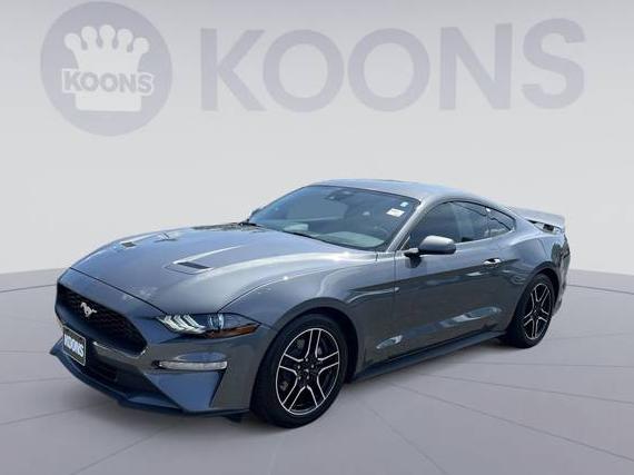 FORD MUSTANG 2022 1FA6P8TH5N5136789 image