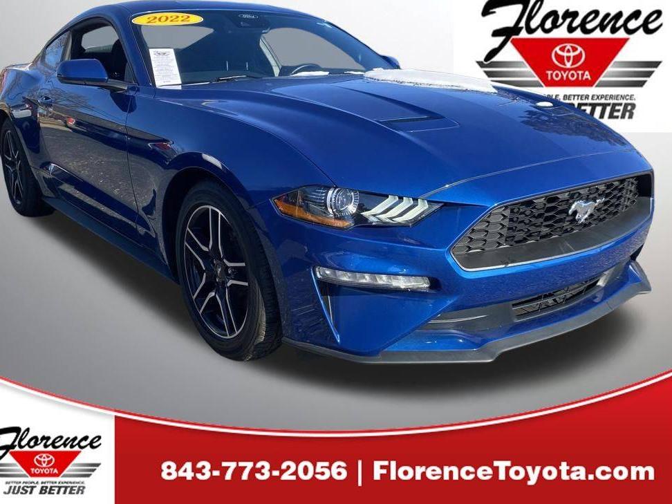 FORD MUSTANG 2022 1FA6P8TH3N5140436 image